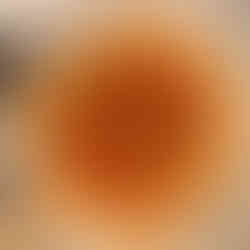 Pizza aus ooni volt 2