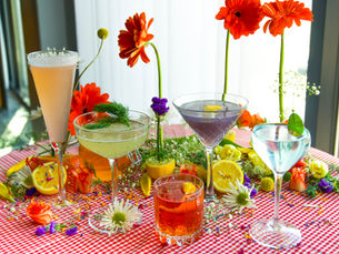 Our Spring cocktail content shoot for Palette Bar and Grill