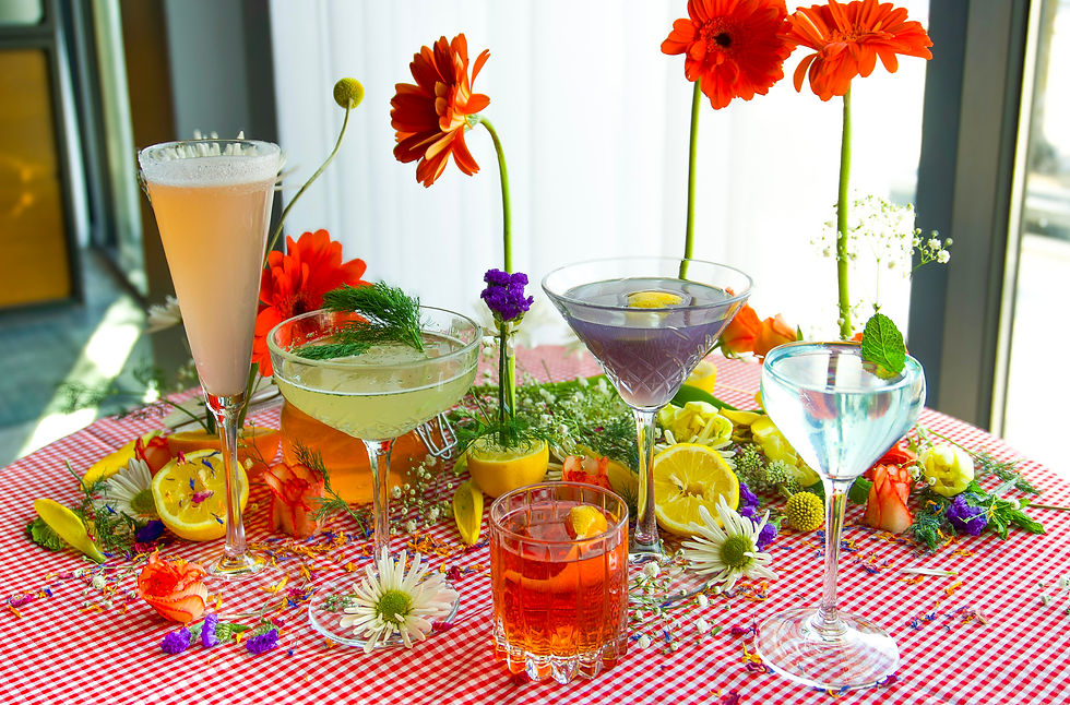 photo of palette cocktail photoshoot shot and designed by BrandScales