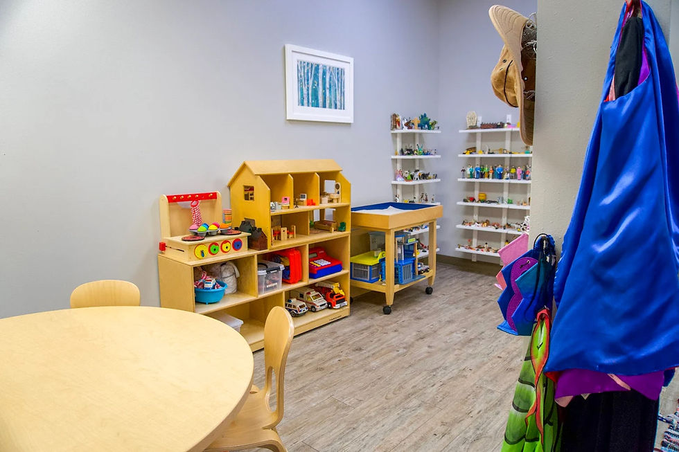 canopy center's play Therapy room