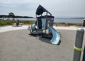 IMG_20250615_113019928_HDR.jpg