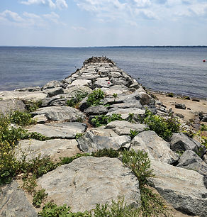 IMG_20250721_132953582_HDR.jpg
