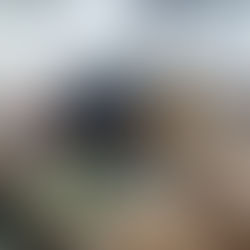 Cahaya Ukhuwah Hangatnya Buka Puasa di Masjid Abu Bakar Ash-Shiddiq