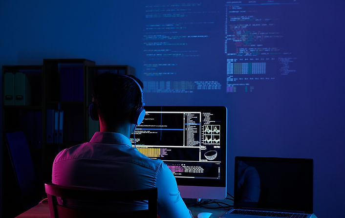 software developer
