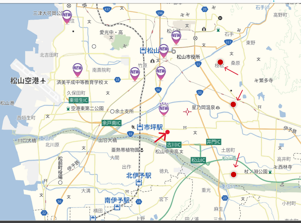 真ん中の矢印が当院で、右側にある小さめの矢印の所にサニーマートさんが3店舗