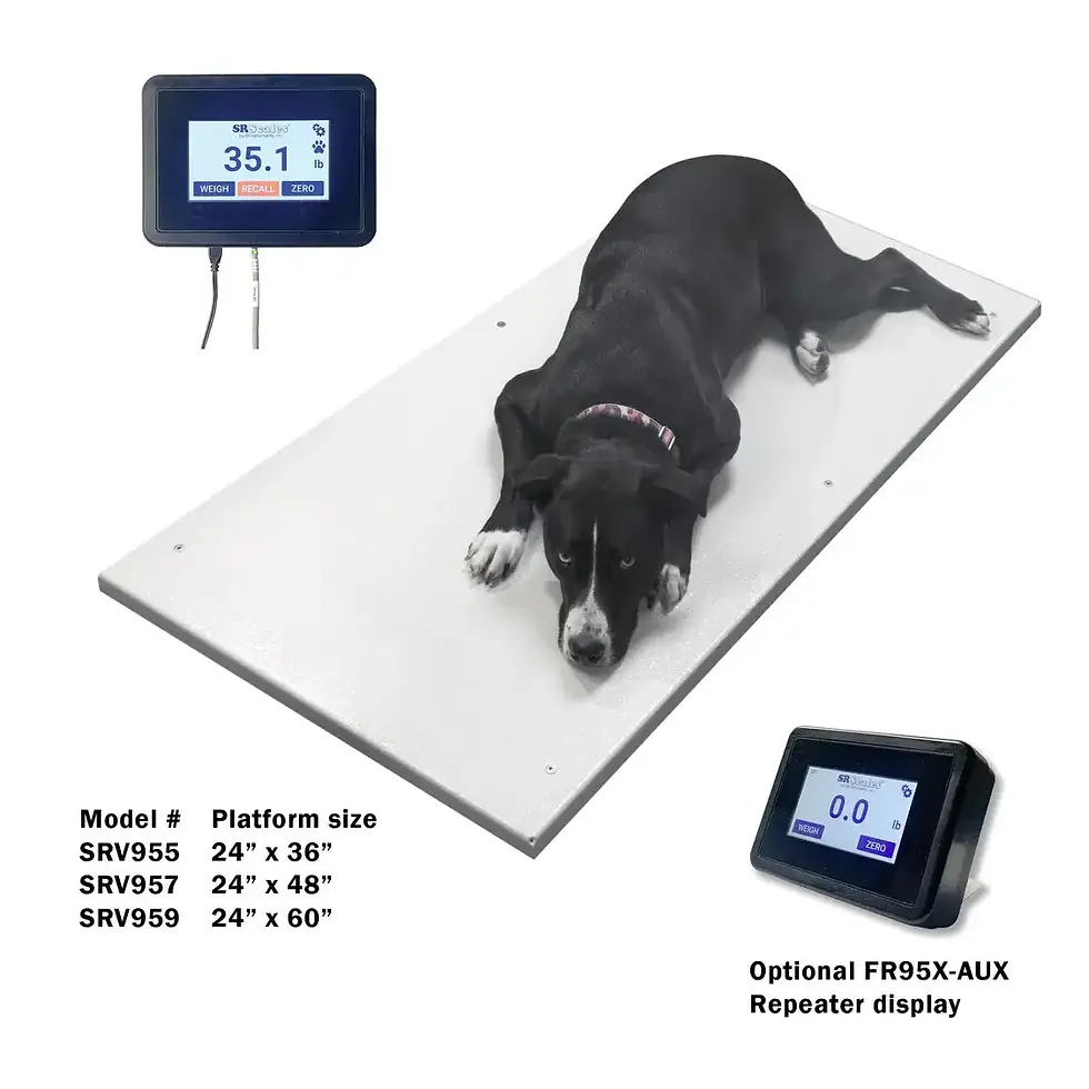 Thumbnail: 24" x 60" Veterinary Floor Scale (SRV959)