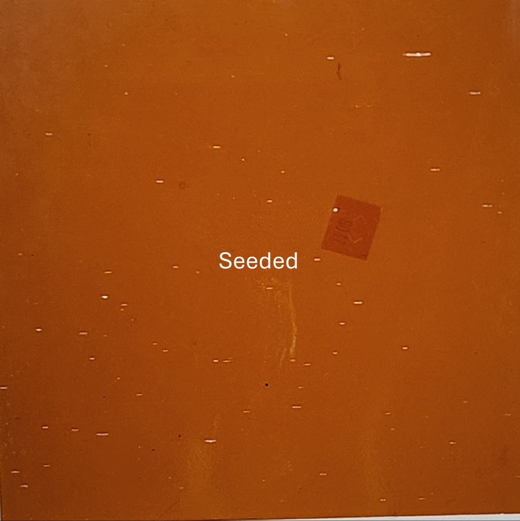 Orange Glass