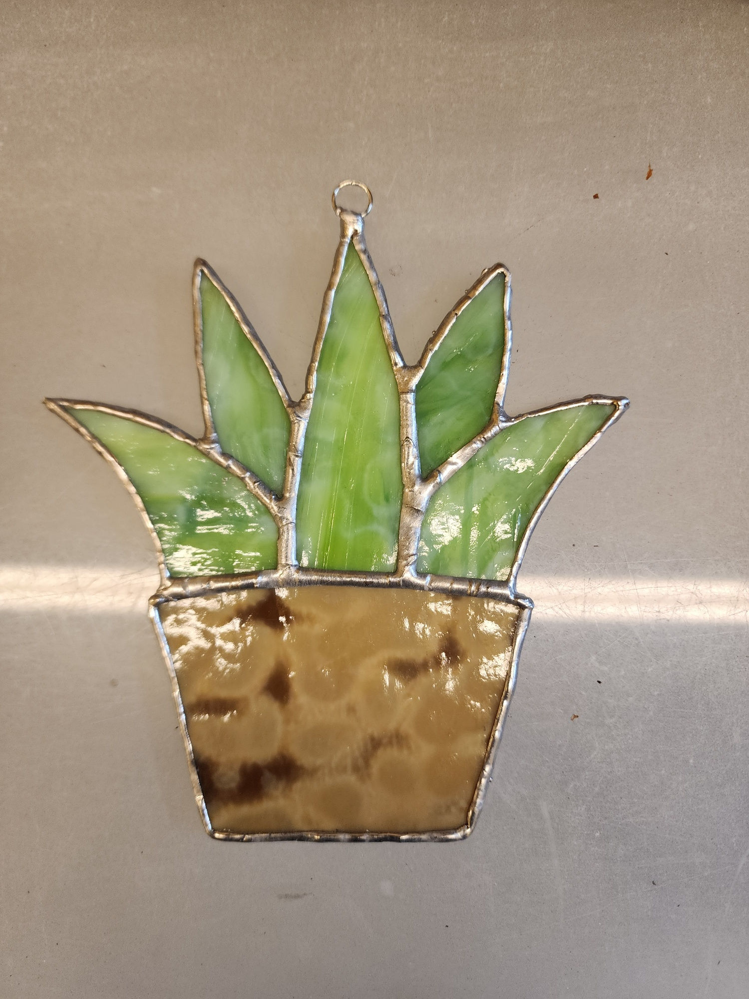 Succulents
