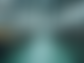 Meeting FSSAI License Requirements for Your Food Business