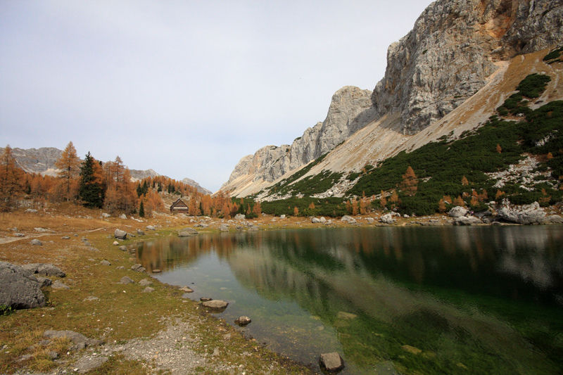 Mountain Lake View