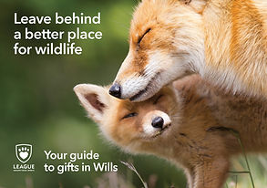 LACS legacy fulfilment brochure cover.jp