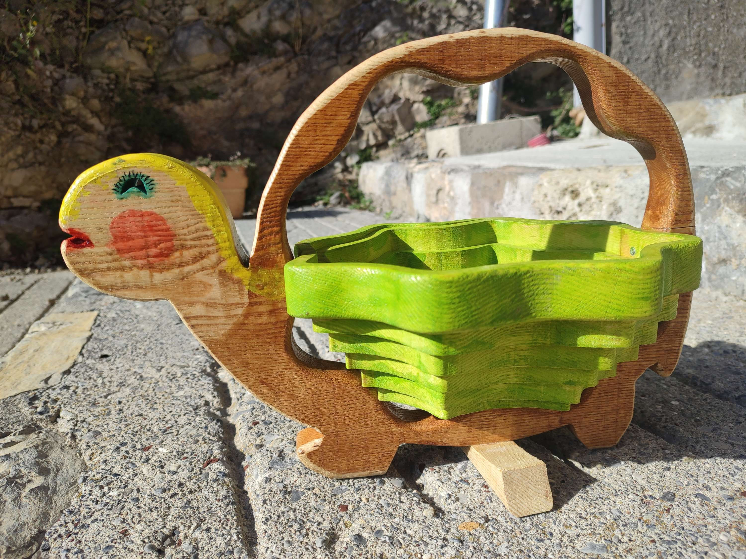 Une tortue qui fait un panier