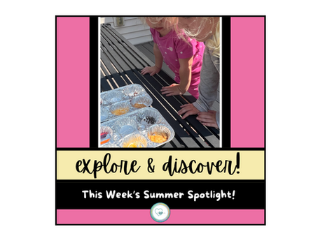 explore & discover!  this week's summer spotlight!