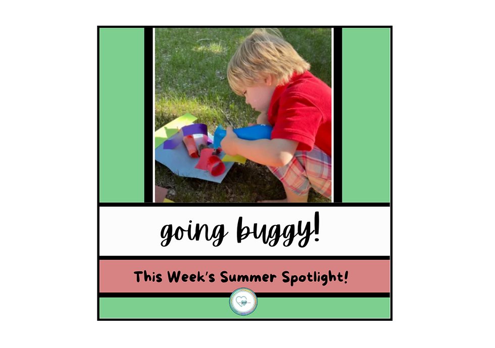 going buggy! this week's summer spotlight!