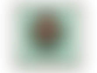 we wish you a Merry Christmas and a Happy New Year!