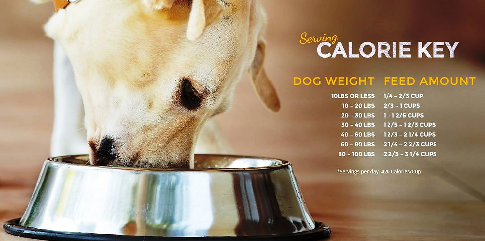 縮圖：ZIGNATURE TROUT & SALMON