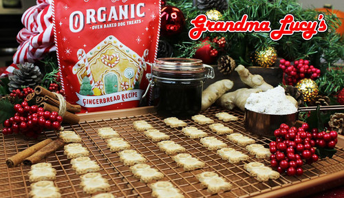 GRANDMA LUCYS ORGANIC GINGERBREAD TREATS 8OZ | the-paw-spa