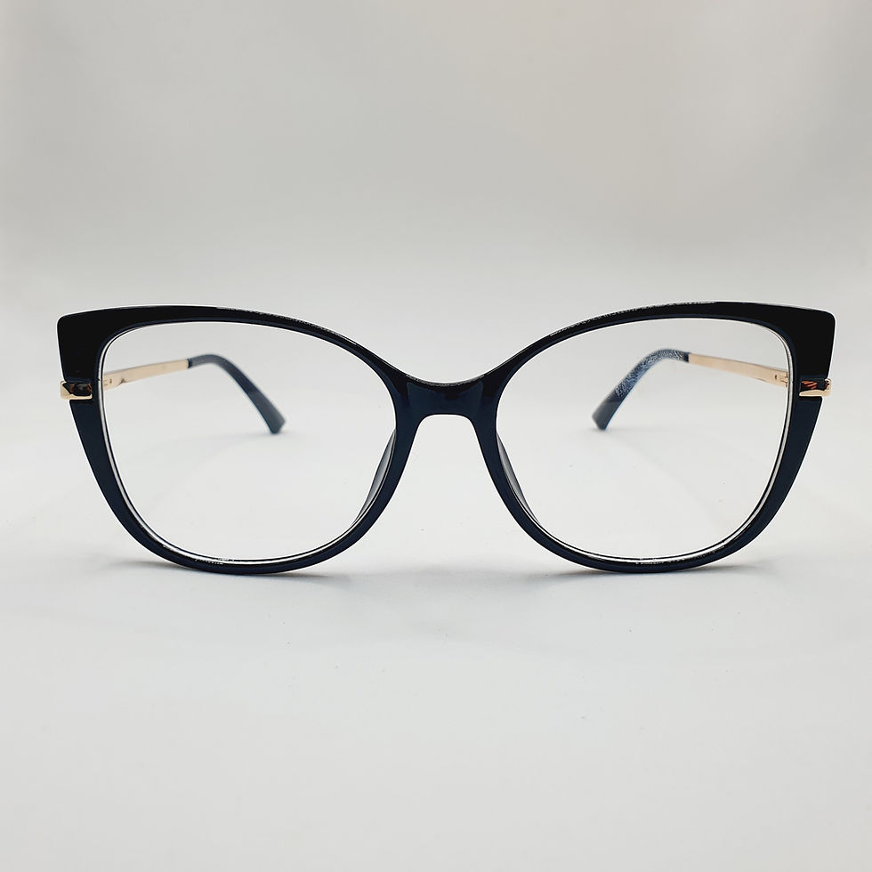 Miniatura: CA499 /CA500