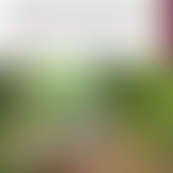 Grupo Interinstitucional localizó y destruyó cinco áreas de almacenamiento de material para elaborar drogas en Culiacán y Cosalá