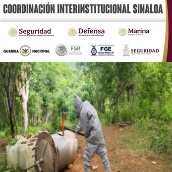 Grupo Interinstitucional localizó y destruyó cinco áreas de almacenamiento de material para elaborar drogas en Culiacán y Cosalá