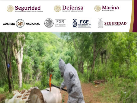 Grupo Interinstitucional localizó y destruyó cinco áreas de almacenamiento de material para elaborar drogas en Culiacán y Cosalá