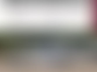 Grupo Interinstitucional asegura marihuana en empresa de paquetería en Culiacán