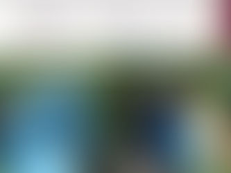 Grupo Interinstitucional localizó y destruyó tres áreas de almacenamiento de precursores quÃmicos para la elaboración de drogas en Cosalá, Elota y Culiacán