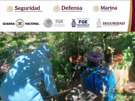 Grupo Interinstitucional localizó y destruyó tres áreas de almacenamiento de precursores quÃmicos para la elaboración de drogas en Cosalá, Elota y Culiacán