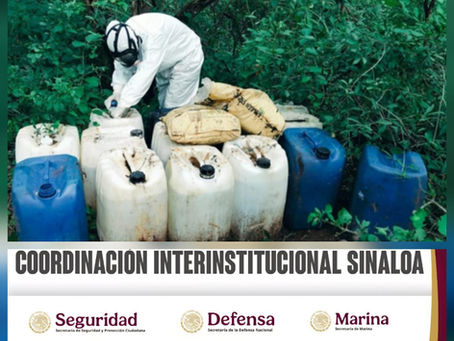 En Culiacán y Cosalá, el Grupo Interinstitucional asegura y destruye siete áreas de almacenamiento de materiales quÃmicos y un laboratorio inactivo