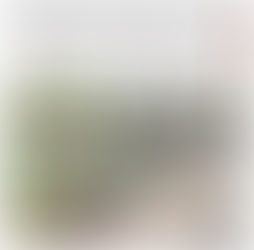 En Badiraguato, el Grupo Interinstitucional asegura 3 campamentos, un artefacto explosivo, drones y uniformes tipo militar