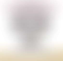 En Sinaloa estos son los resultados de las acciones del Grupo Interinstitucional en el combate a la delincuencia, del 13 de octubre al 19 de octubre de 2025.