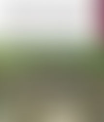 Tras ser objeto de una agresión, Grupo Interinstitucional asegura armamento, más de 7,000 municiones y artefactos explosivos en San Ignacio.