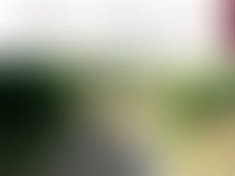 Grupo Interinstitucional asegura arma, municiones y equipo táctico en Caminaguato, Culiacán