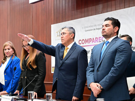 Durante el último año, Sinaloa se adhirió a la Estrategia Nacional de Seguridad Pública, a través de la Coordinación Interinstitucional