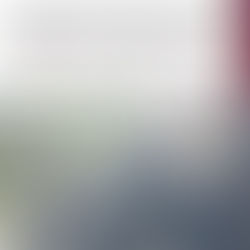 Armas, municiones y cartuchos son asegurados por el Grupo Interinstitucional en Cosalá