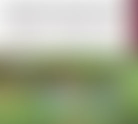 Grupo Interinstitucional asegura y destruye 2 áreas de concentración de materiales químicos en Cosalá