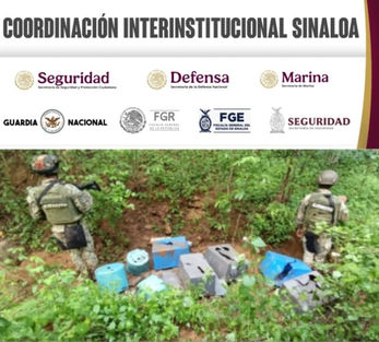 Grupo Interinstitucional asegura y destruye 2 áreas de concentración de materiales químicos en Cosalá