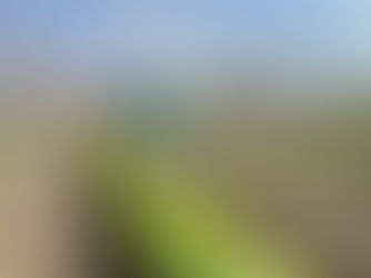 Como parte de los programas para la reinserción social de las Personas Privadas de la Libertad, se fomentan actividades para el desarrollo de oficios