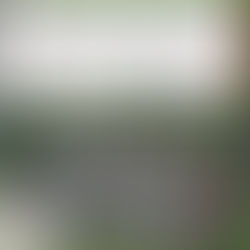 Grupo Interinstitucional asegura e inhabilita 151 artefactos explosivos improvisados y material explosivo en San Ignacio