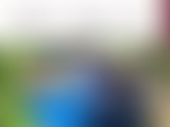 Grupo Interinstitucional asegura área de almacenamiento de sustancias químicas en Cosalá