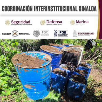 Grupo Interinstitucional asegura área de almacenamiento de sustancias químicas en Cosalá