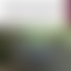 Grupo Interinstitucional recupera 2 vehículos con reporte de robo en Culiacán