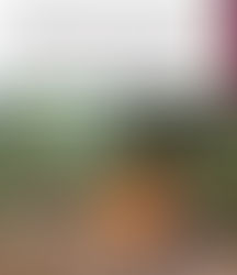 Campamento usado por la delincuencia organizada en Tepuche es asegurado y destruido por el Grupo Interinstitucional