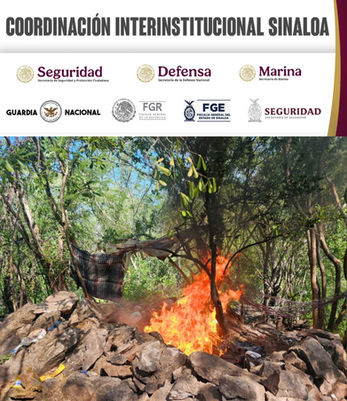 Campamento usado por la delincuencia organizada en Tepuche es asegurado y destruido por el Grupo Interinstitucional