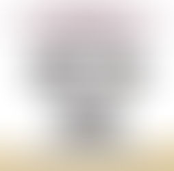 En Sinaloa estos son los resultados de las acciones del Grupo Interinstitucional en el combate a la delincuencia, del 17 al 23 de noviembre de 2025.