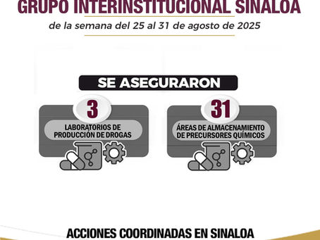 En Sinaloa estos son los resultados de las acciones del Grupo Interinstitucional en el combate a la delincuencia, del 25 al 31 de agosto de 2025.