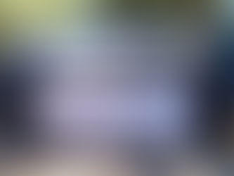 Grupo Interinstitucional asegura vehículo robado con arma larga en el sector Barrancos