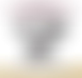 En Sinaloa estos son los resultados de las acciones del Grupo Interinstitucional en el combate a la delincuencia, del 13 de octubre al 19 de octubre de 2025.