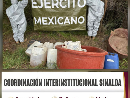 El Grupo Interinstitucional asegura y destruye tres áreas de almacenamiento de materiales quÃmicos
