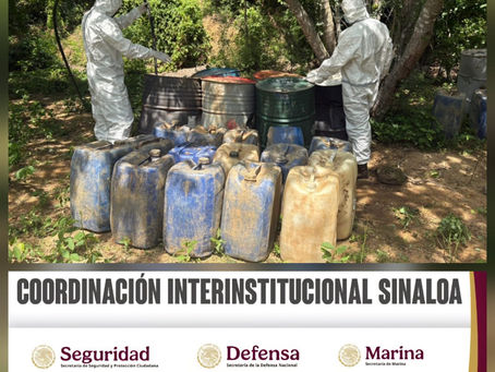 En Culiacán, Cosalá y Elota, el Grupo Interinstitucional asegura y destruye cinco áreas de almacenamiento de materiales químicos